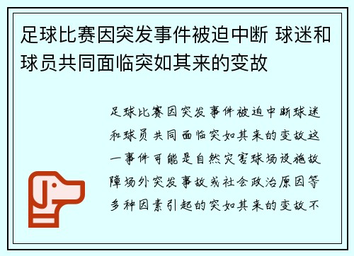 足球比赛因突发事件被迫中断 球迷和球员共同面临突如其来的变故