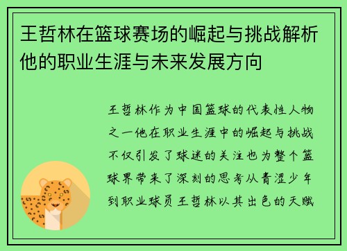 王哲林在篮球赛场的崛起与挑战解析他的职业生涯与未来发展方向