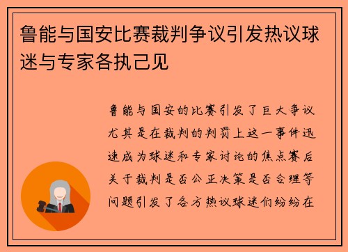 鲁能与国安比赛裁判争议引发热议球迷与专家各执己见