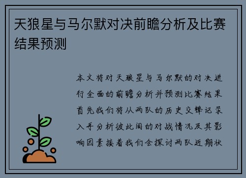 天狼星与马尔默对决前瞻分析及比赛结果预测