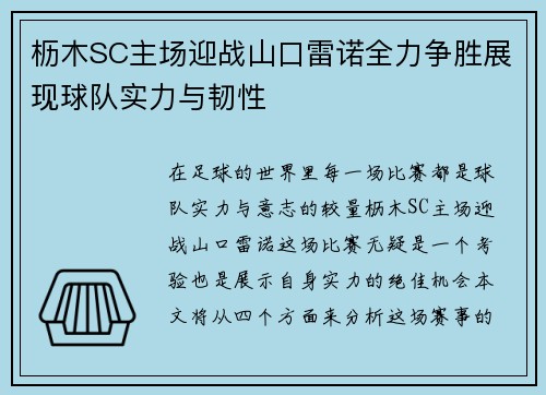 枥木SC主场迎战山口雷诺全力争胜展现球队实力与韧性