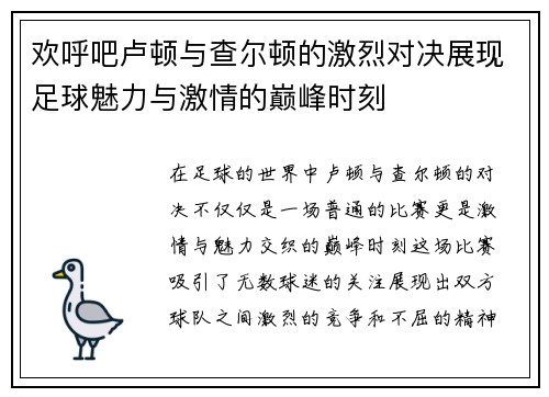 欢呼吧卢顿与查尔顿的激烈对决展现足球魅力与激情的巅峰时刻