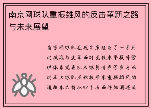 南京网球队重振雄风的反击革新之路与未来展望